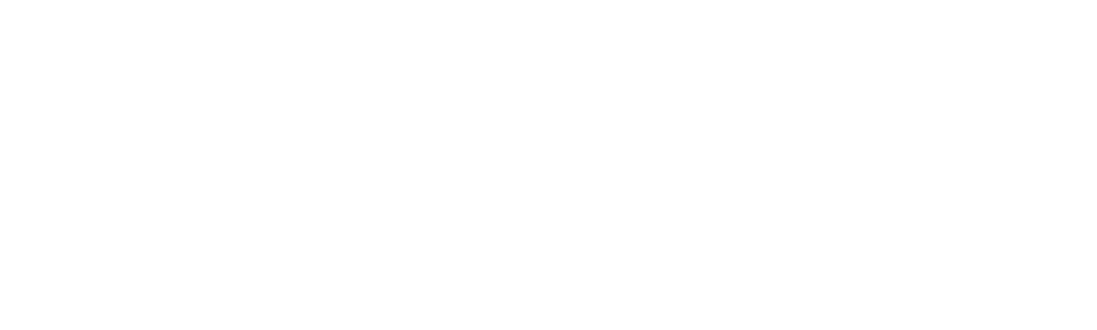 sleeveX